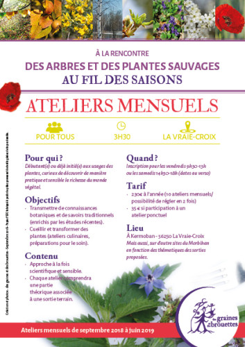 Cycles d'ateliers mensuels "Herboristerie et cuisine avec les plantes au fil des saisons"