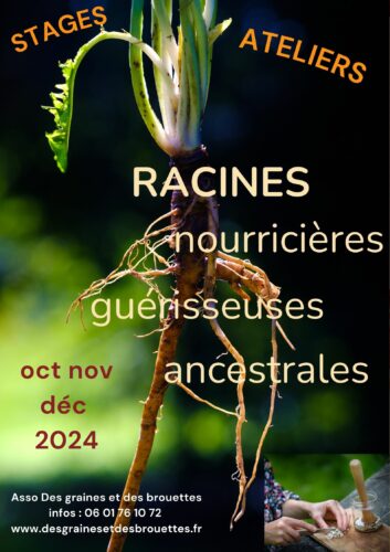 STAGES ET ATELIERS "RACINES" NOURRICIERES, GUERISSEUSES, ANCESTRALES